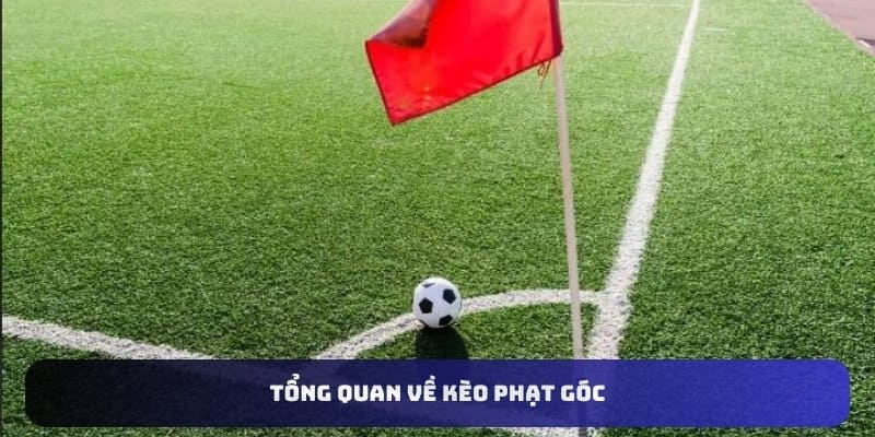 Tổng quan về kèo phạt góc